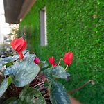 Sicily 4 Suite